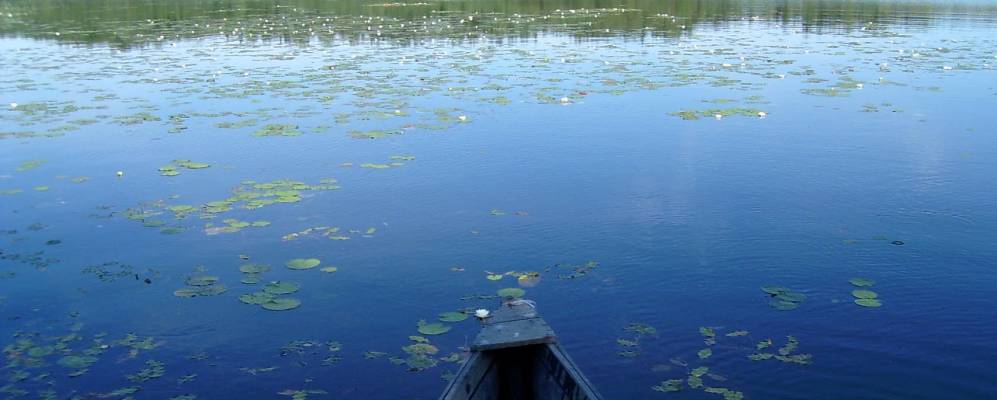 Фотография Думино