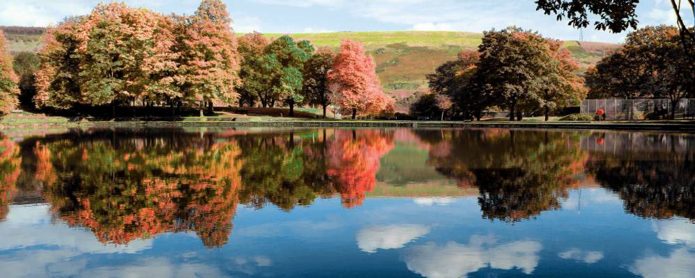 
            Фотография Ферндэйла