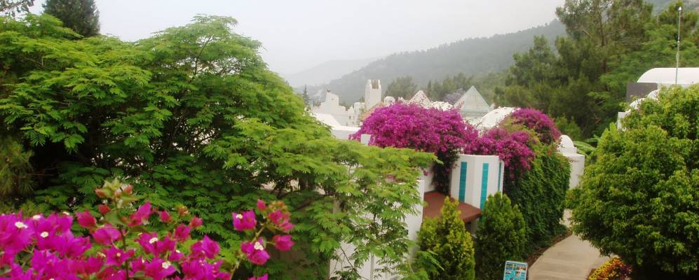 Фотография Ялиджифтлика