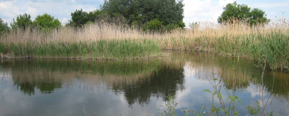 
            Фотография Красного Деркула