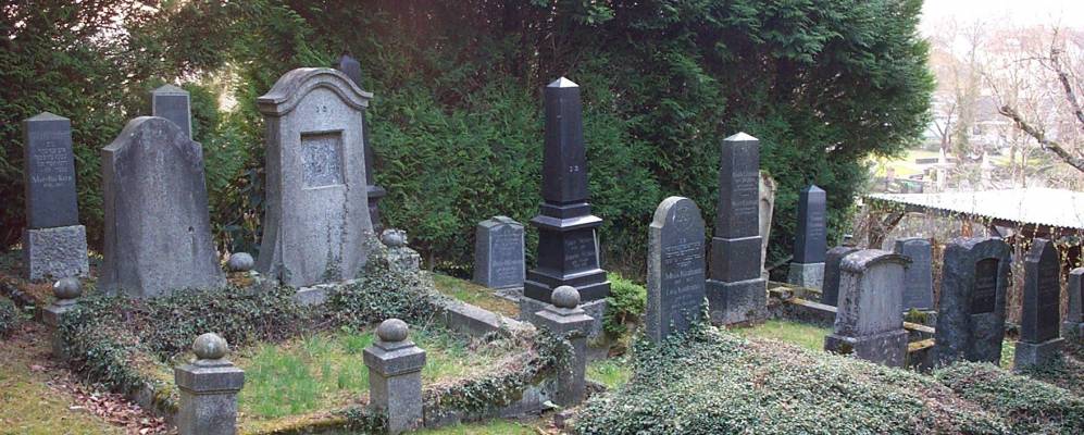 
            Фотография Мекесхайма