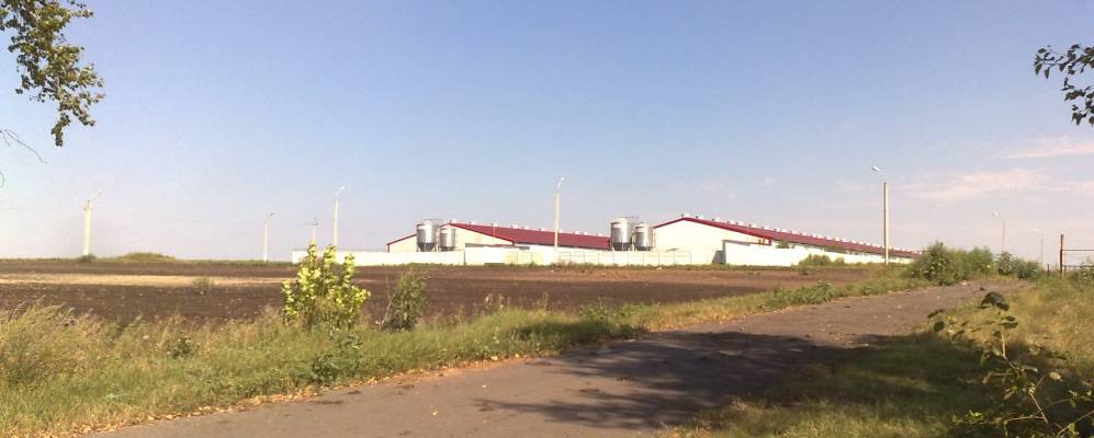 Фотография Григорьевки