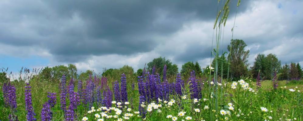 Фотография Шиловки