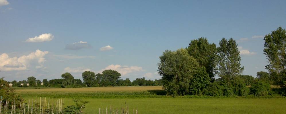 
            Фотография Сенигы