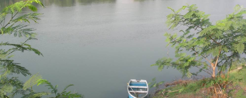 
            Фотография Васинда