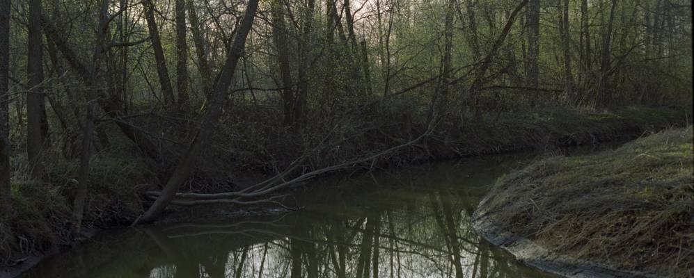 
            Фотография Горчаково