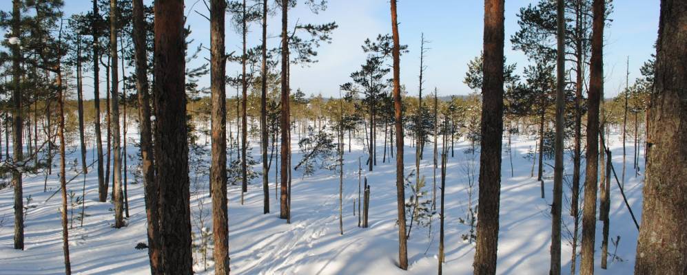 
            Фотография деревни Виры