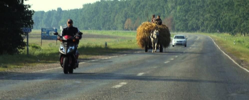 
            Фотография Белевицы