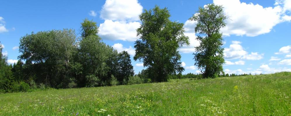 
            Фотография Кусковых