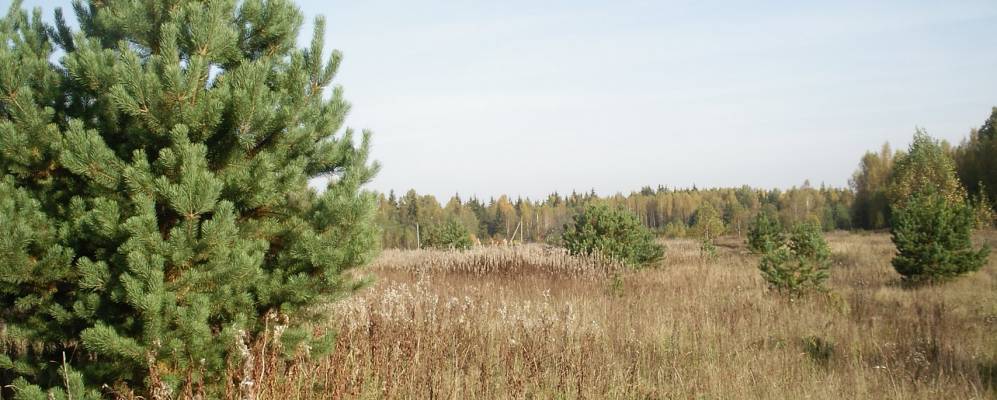 
            Фотография Наполков