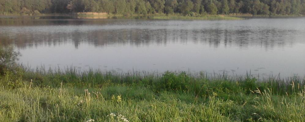 Фотография деревни Маслицы