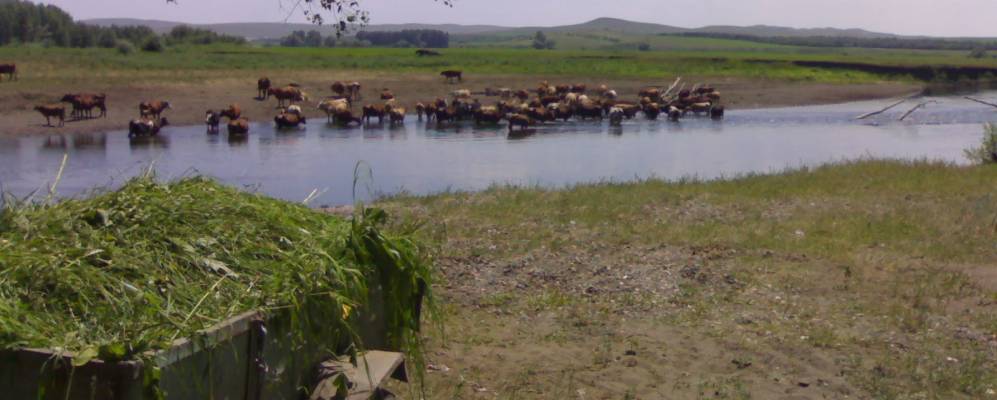 
            Фотография Дубиновки