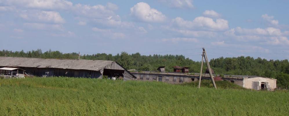 
            Фотография деревни Большие Рожки