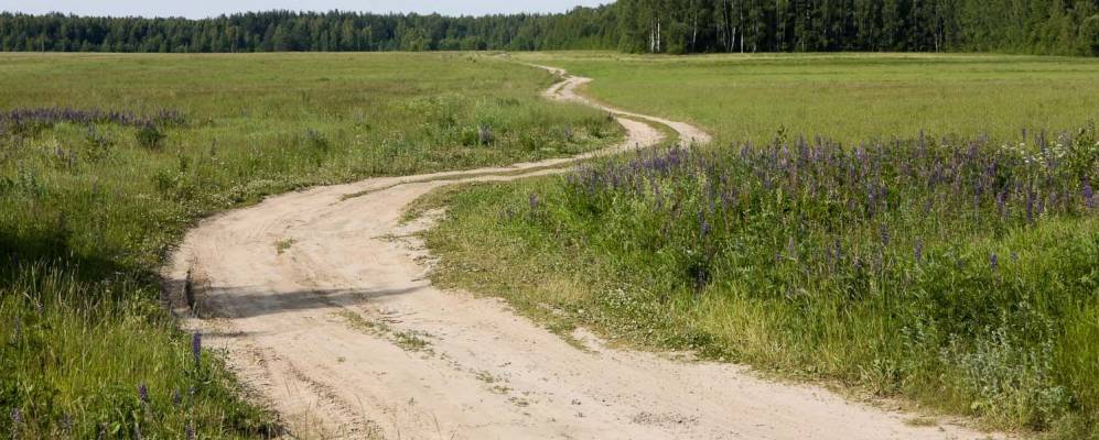 
            Фотография Митрофаново