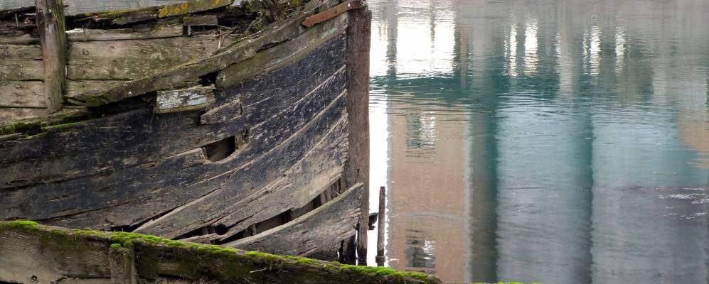 
            Фотография Силеи