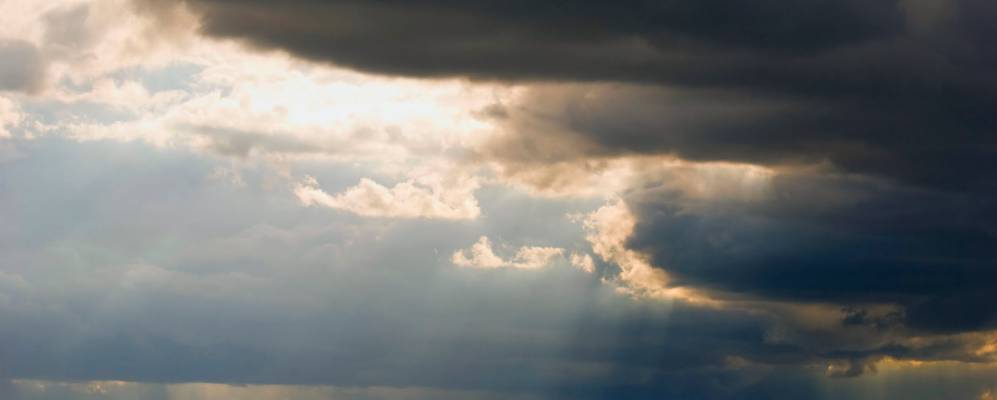 
            Фотография Монрой