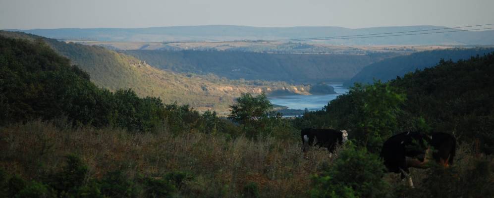 
            Фотография Бедриковцы