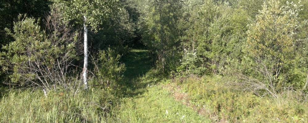 Фотография Петраково