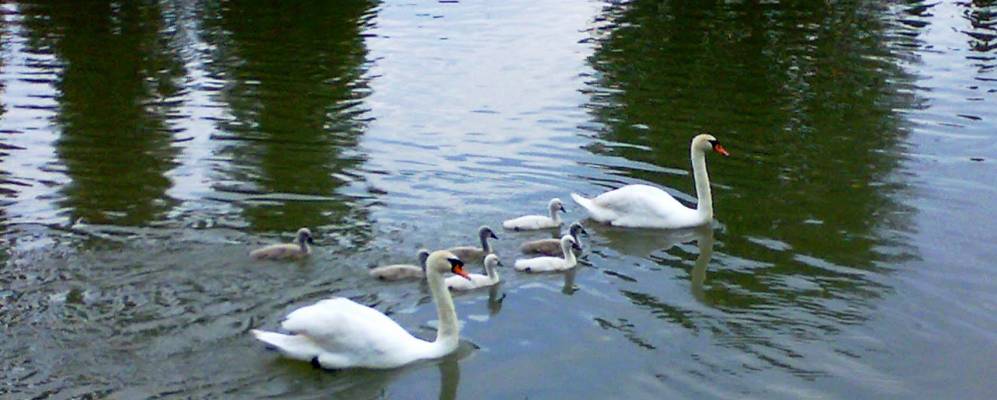 
            Фотография Иэзоло