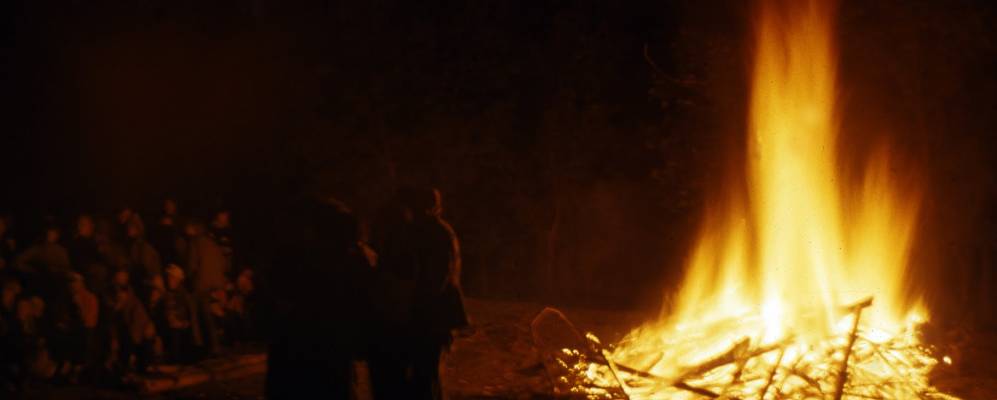 
            Фотография Полетаек