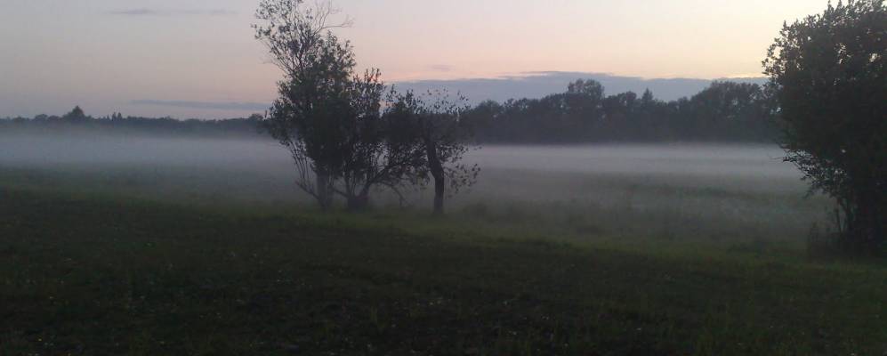 
            Фотография Бронниково