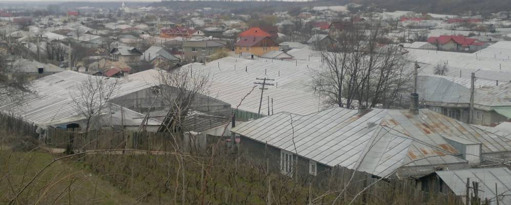 
            Фотография Маткы