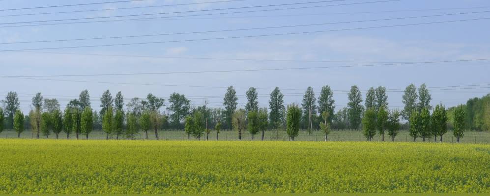 
            Фотография деревни Брановичи