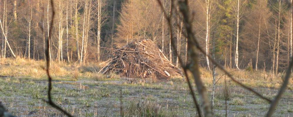 
            Фотография Рословки