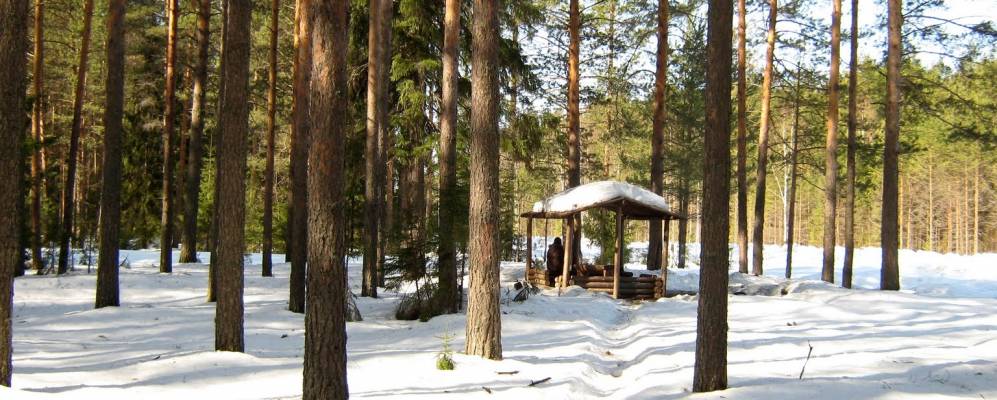 Фотография Гари