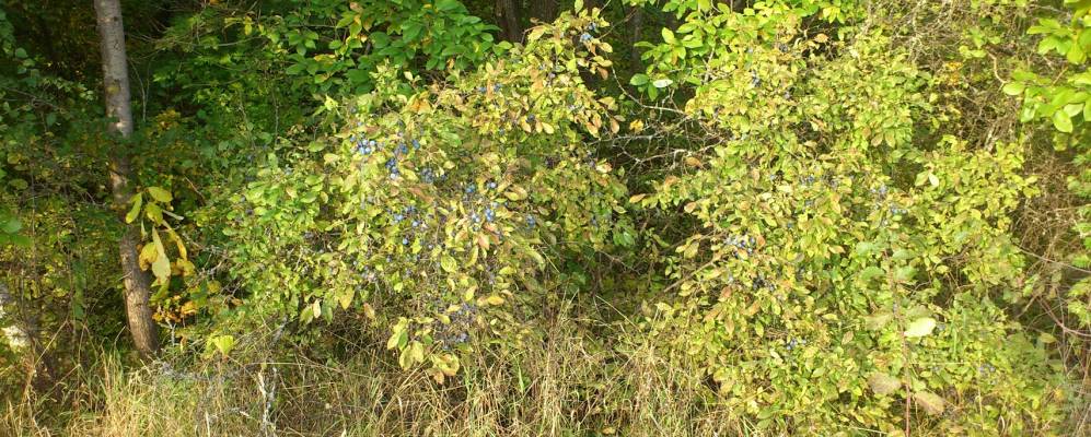 
            Фотография Реутова 