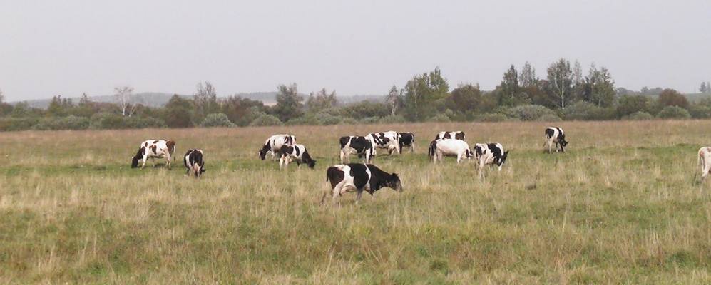 
            Фотография Надеждино