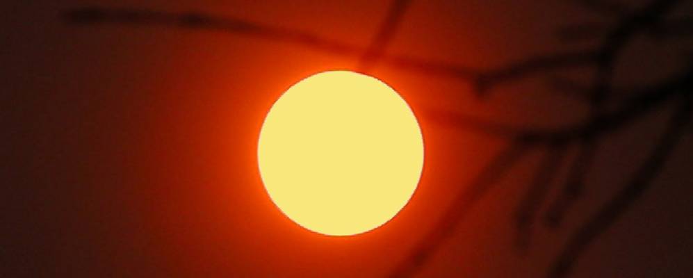 
            Фотография Падрона