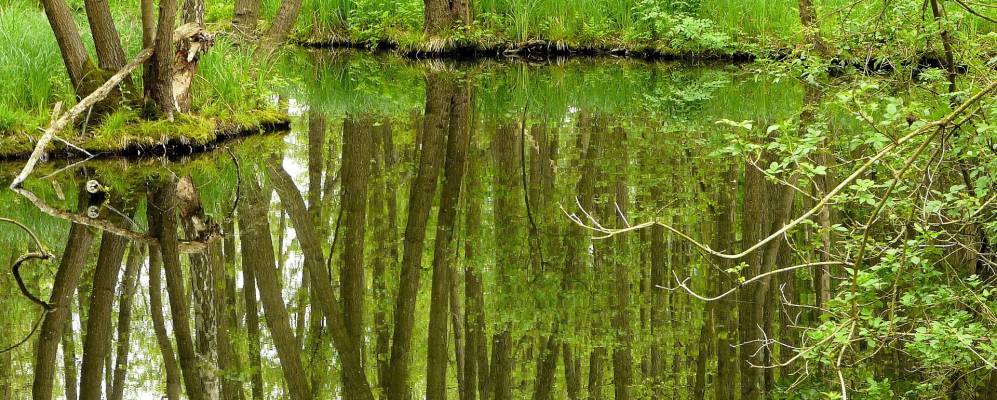 
            Фотография Фалькенхаген