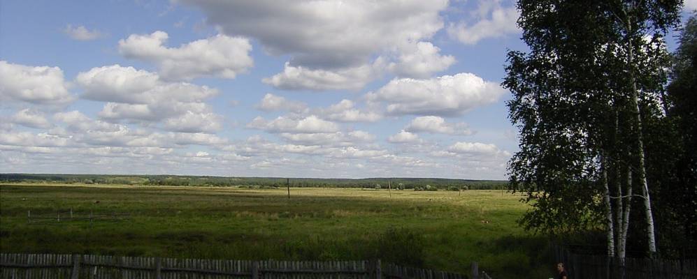 
            Фотография Дубителя