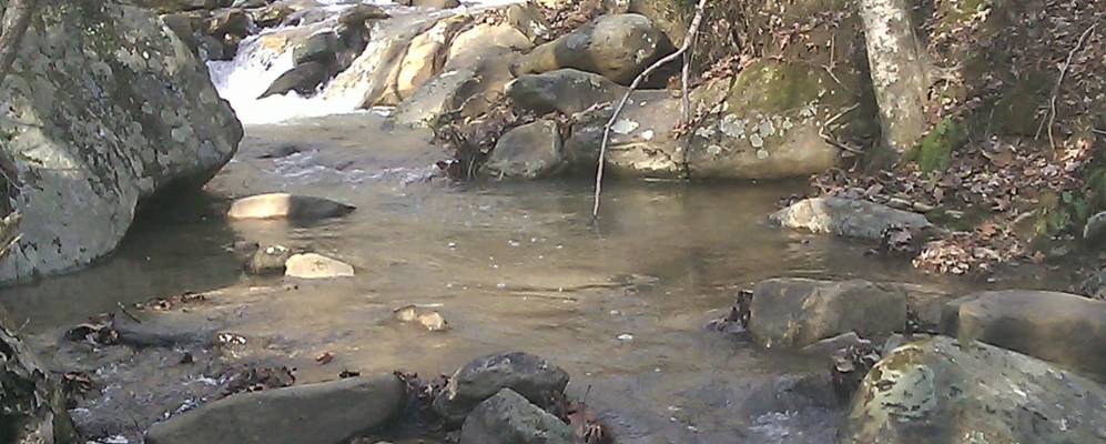 
            Фотография Оливер Спрингса