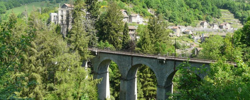 
            Фотография Ольерг