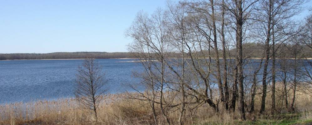 
            Фотография Харшавы