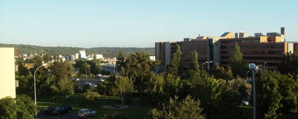 
            Фотография Алфражида