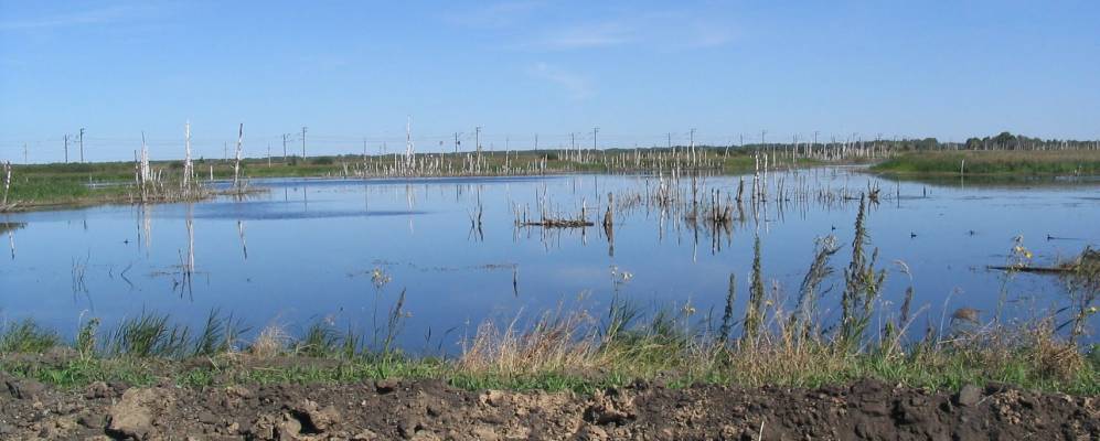 
            Фотография Калиновки