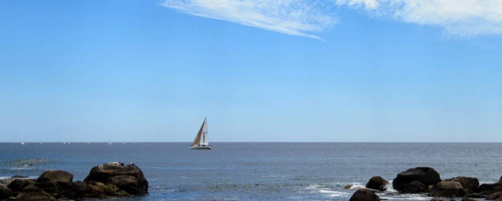 
            Фотография Альгарробо