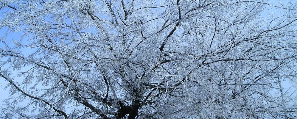 
            Фотография Урбаны