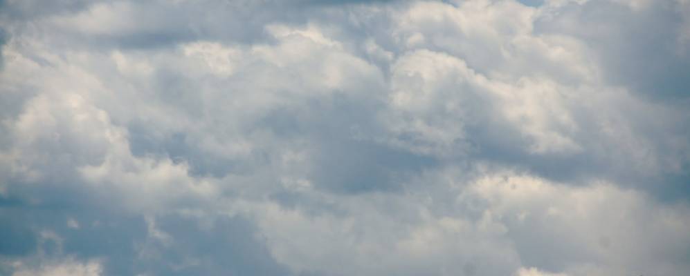 
            Фотография Шафляров