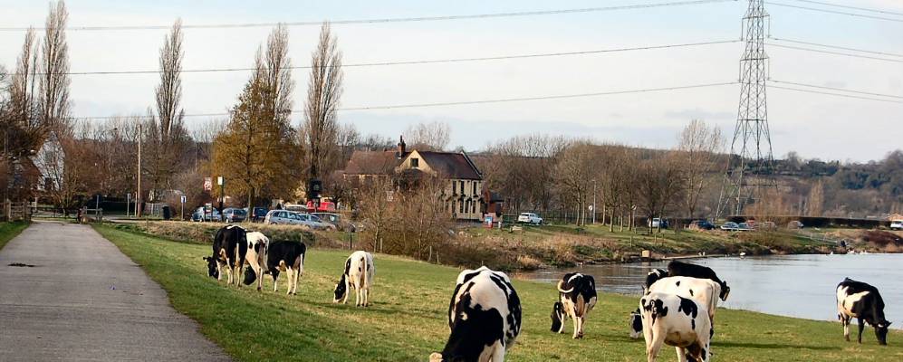 
            Фотография Бертон Джойса