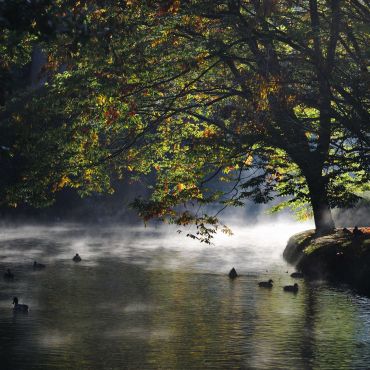 Крайстчёрч