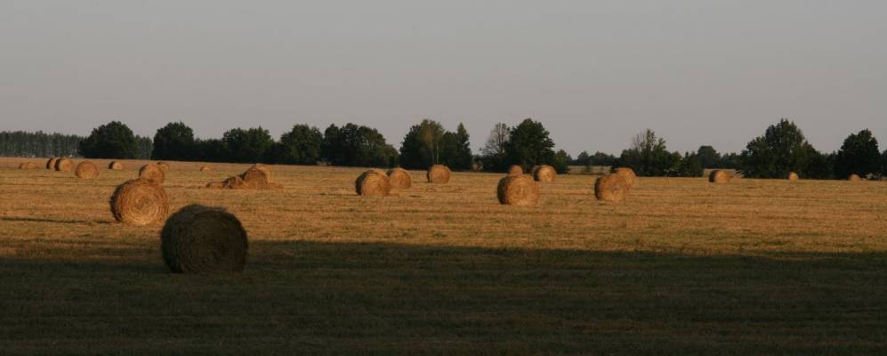 
            Фотография Арбузовки
