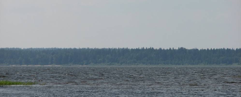 
            Фотография Шадомца