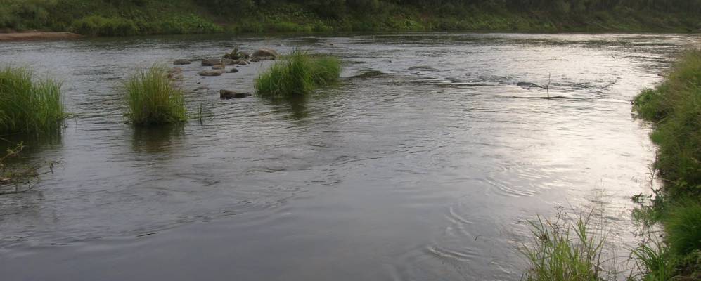 
            Фотография Пречисты