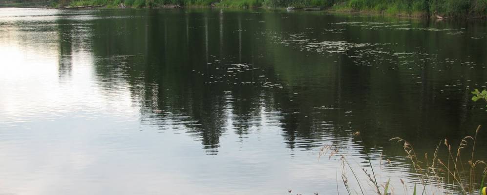 
            Фотография Бутково