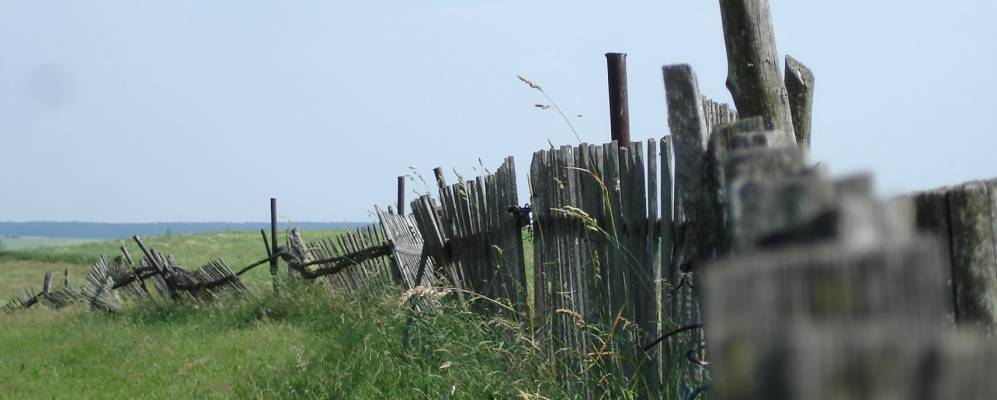 
            Фотография Нагорной