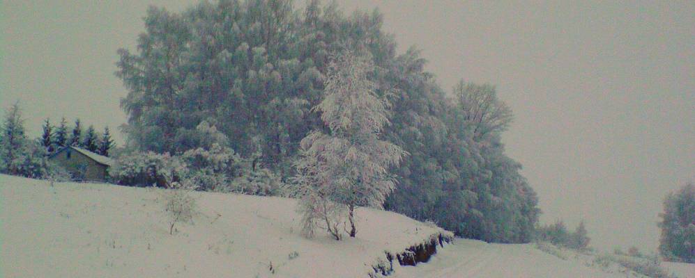 Фотография Менчиково